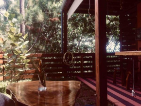 Suite au milieu des arbres
